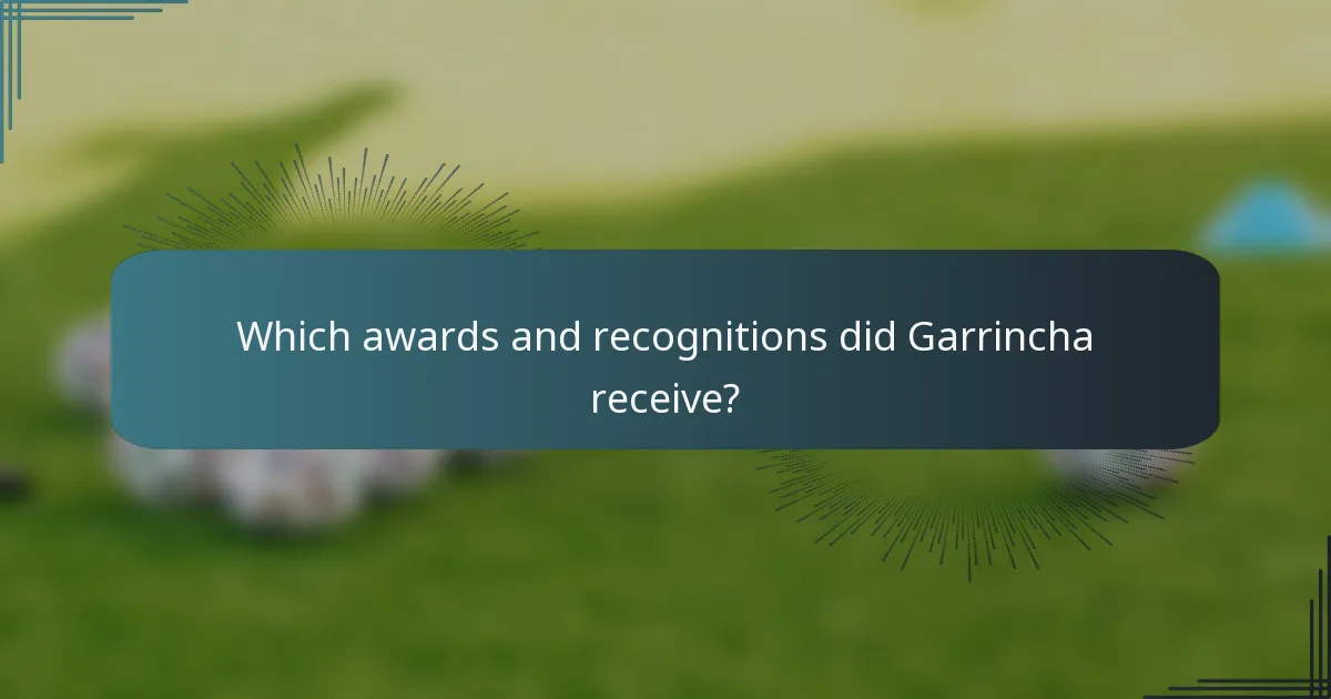Which awards and recognitions did Garrincha receive?